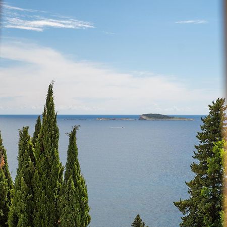 Apartments Villa Silvana Млини Экстерьер фото